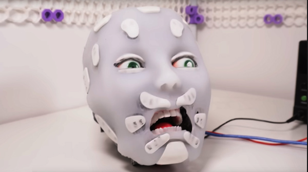 Example robot for double bar model